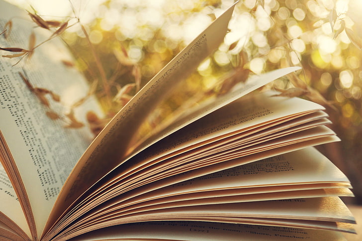 An open book, lit by soft light